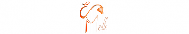 Logo ÉCURIE DE MEILLE